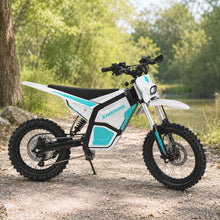 Sykeruns X7-L Low-Speed Electric Bicycle, 750W, 20 MPH