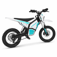 Sykeruns X7-L Low-Speed Electric Bicycle, 750W, 20 MPH